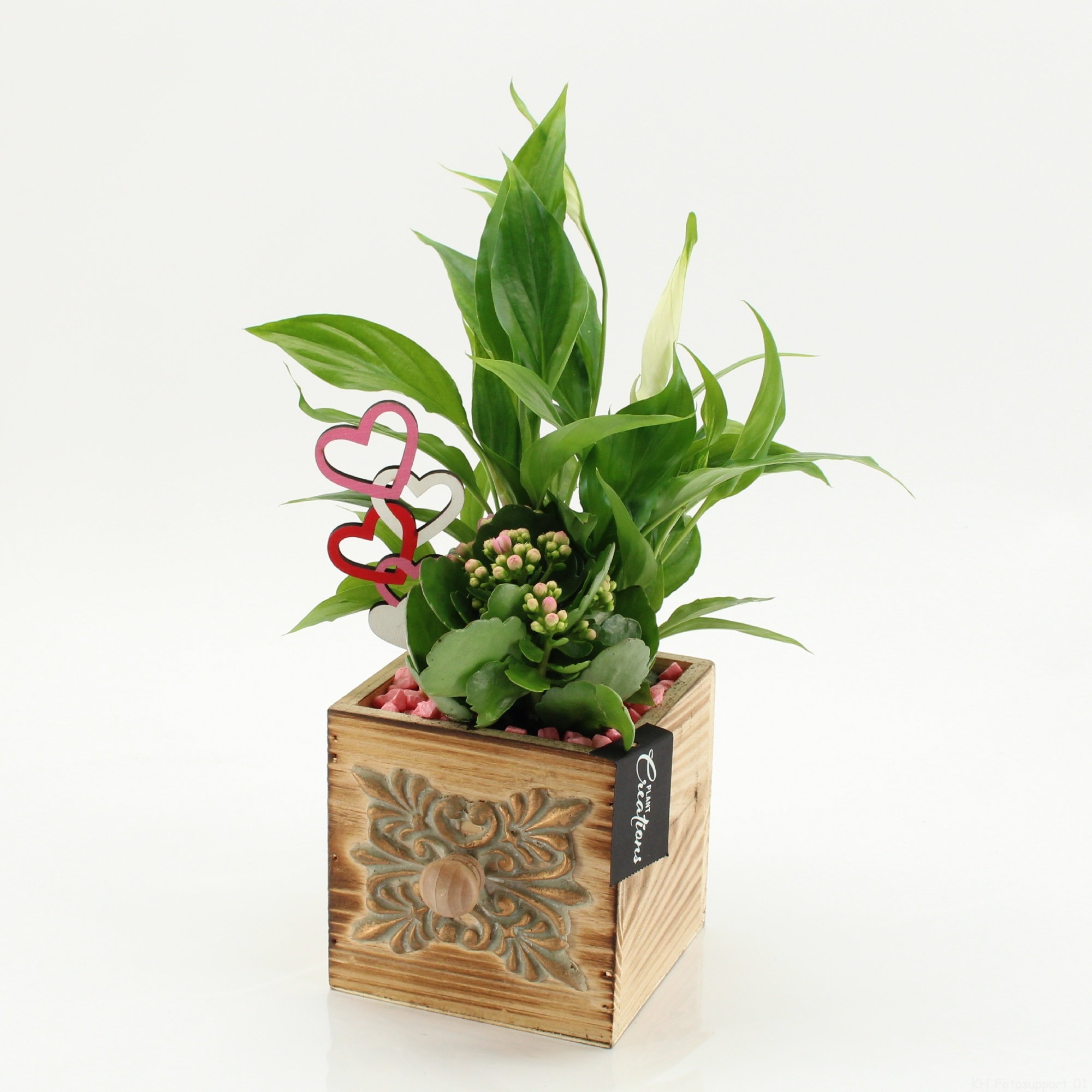 ENMD-2619 English Mother's day, D 12