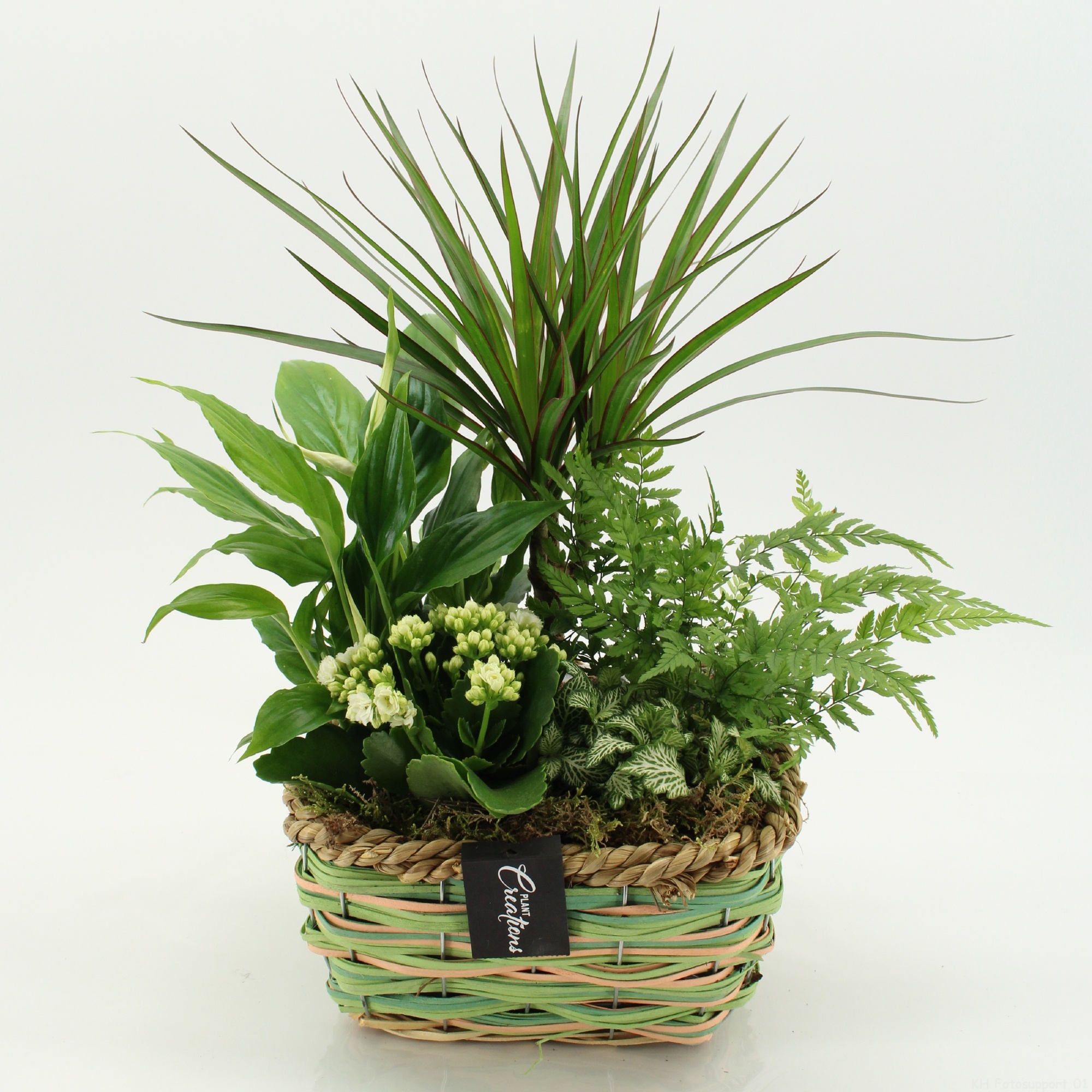 ESCR-2642W Essentials, D 23