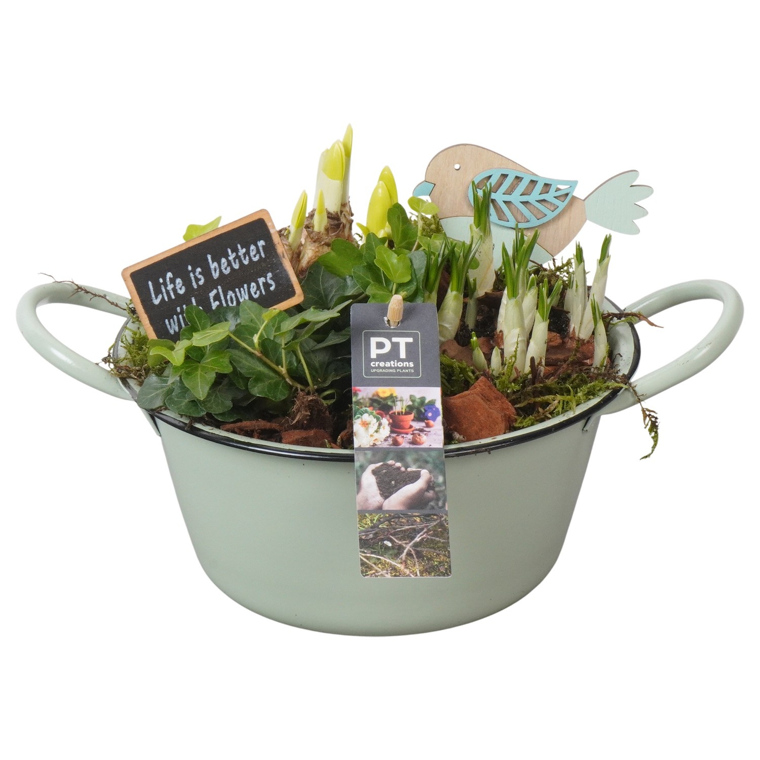 PTBM3726 Arrangement Flower Bulbs Mix in metalen schaal, D 19