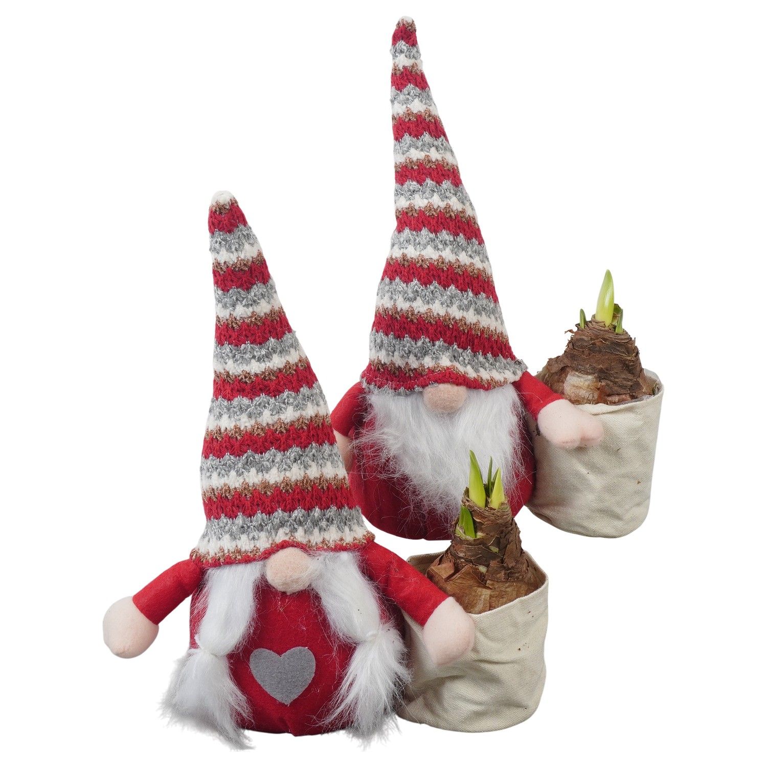 PTACH5913 Arrangement Amaryllis Christmas in stoffen gnome, D 26 cm