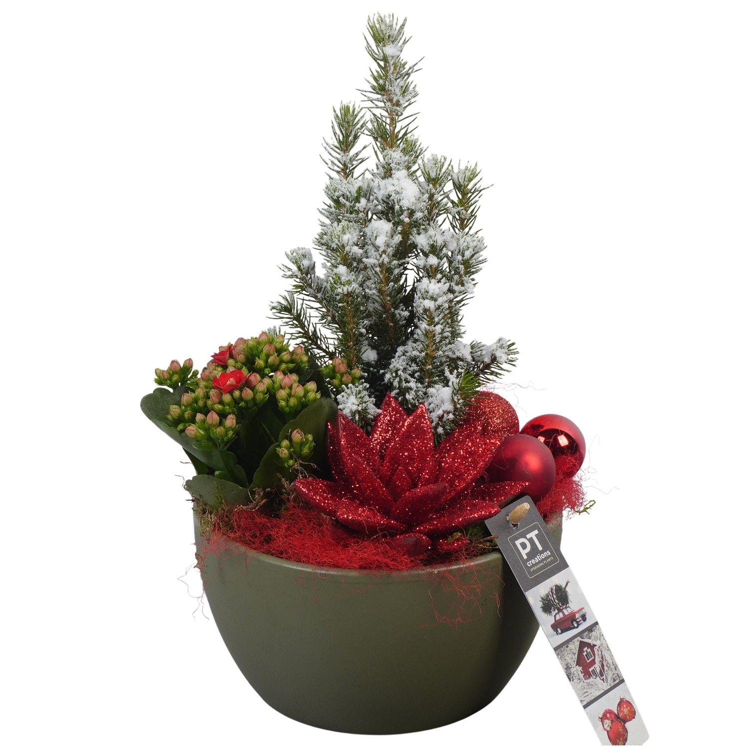 PTCHR7256 Arrangement Christmas Red in keramiek schaal, D 15 cm