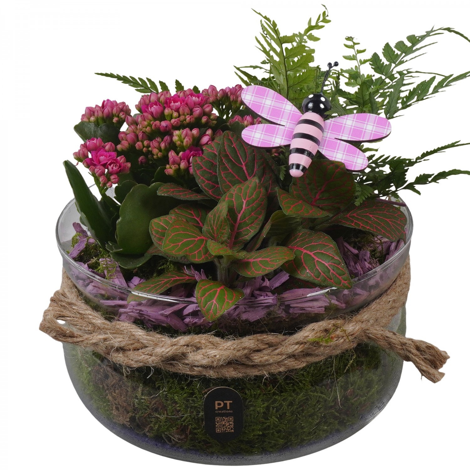 PTIG2627 Arrangement Indoor in glas schaal, D 19