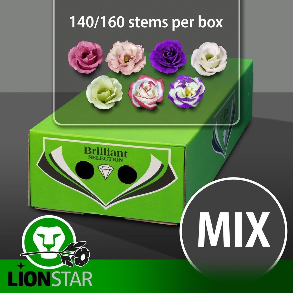 Эустома Грандифлорум Микс в баке 70, шт.