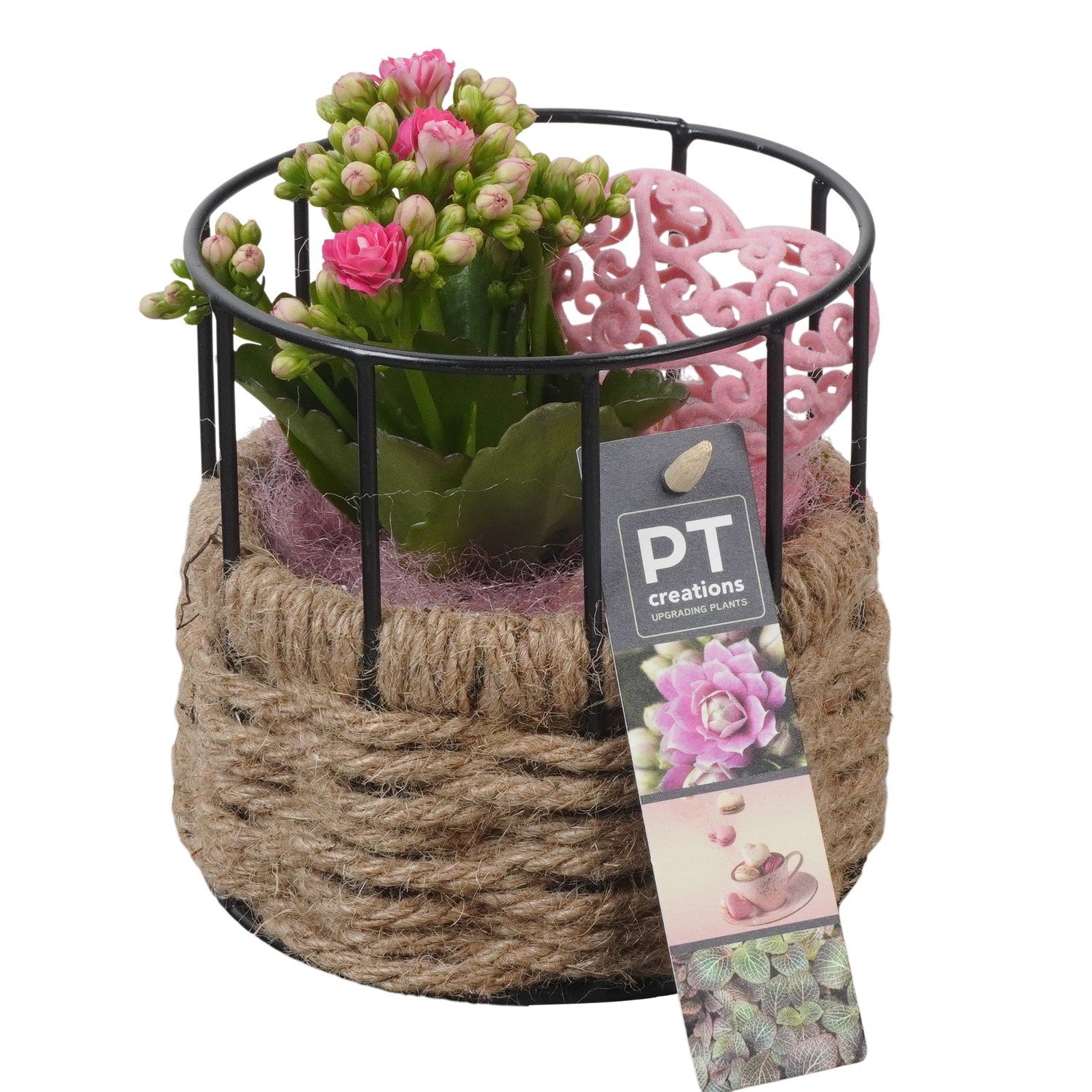 PTVMB2351 Arrangement Valentines-Mothersday in touw pot, D 12