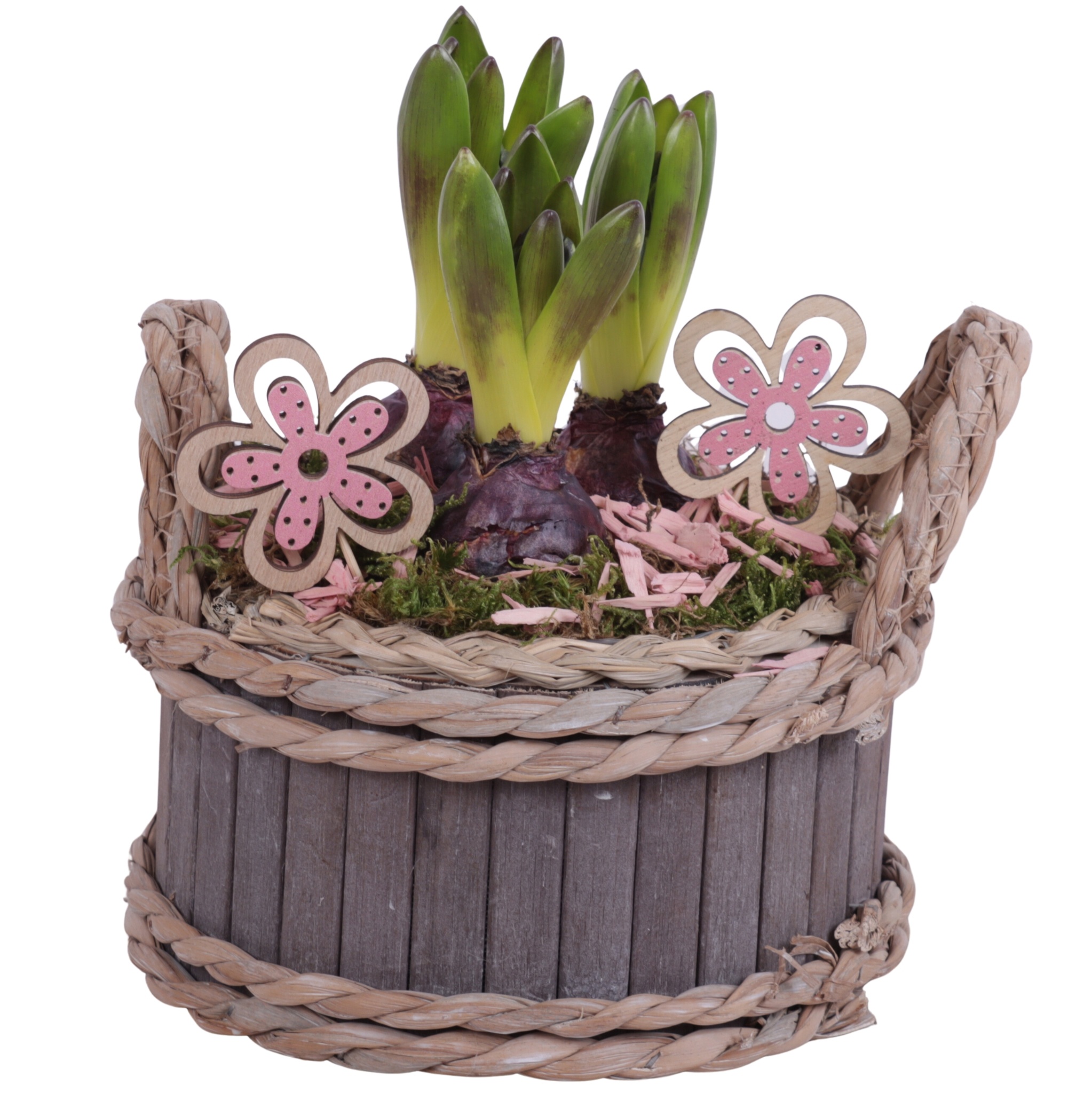 Bulbs Arr. Hyacint Wooden Pot Round Waterhyacint Rim Ø19cm 3PP, D 19