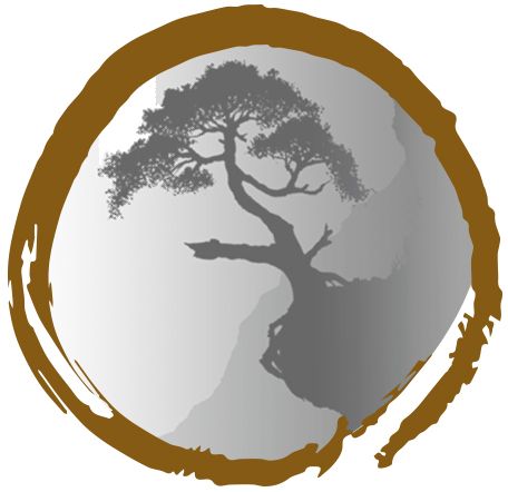 Bonsai 'Syzygium' in ø15cm Ceramic Ball Shape with Saucer, D 15