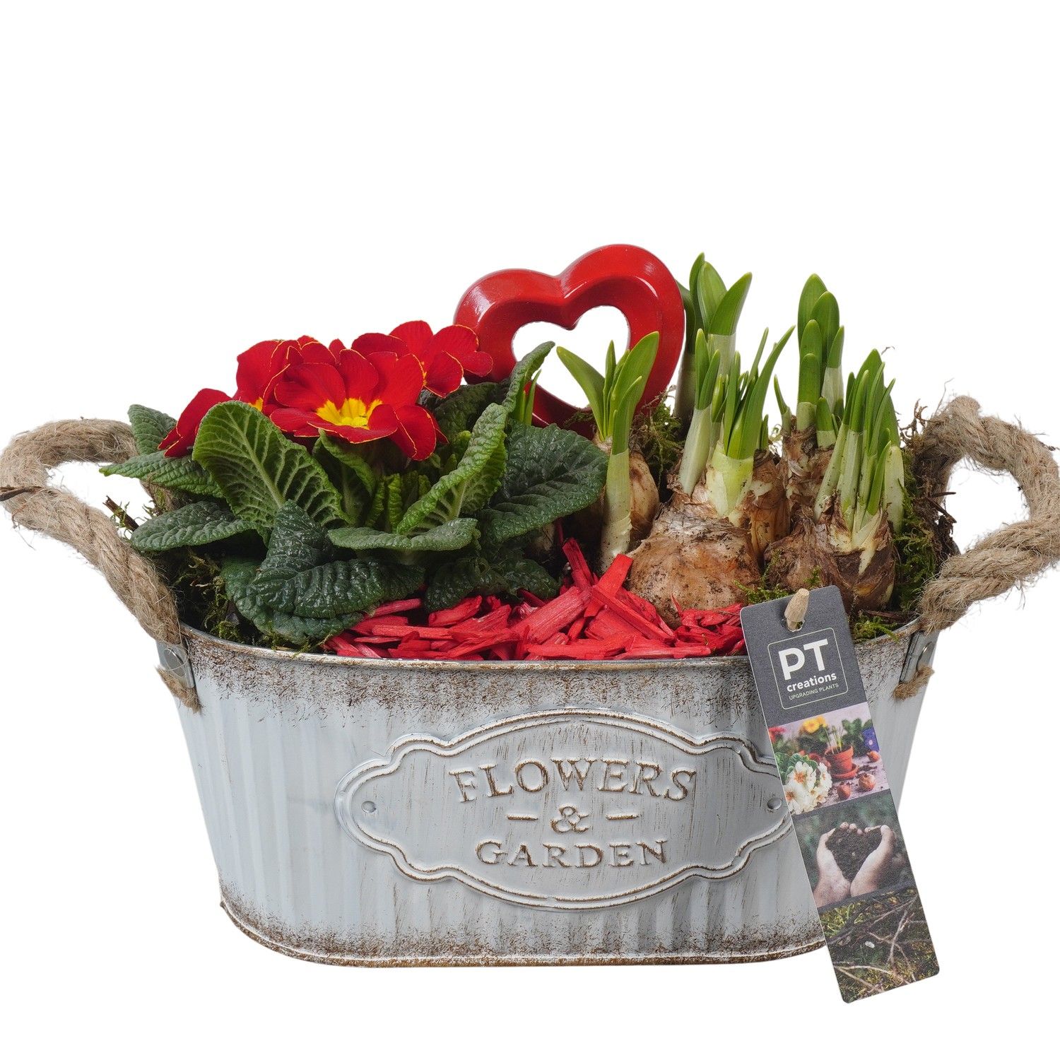 PTVO3605 Arrangement Valentine Outdoor in metalen schaal, D 24