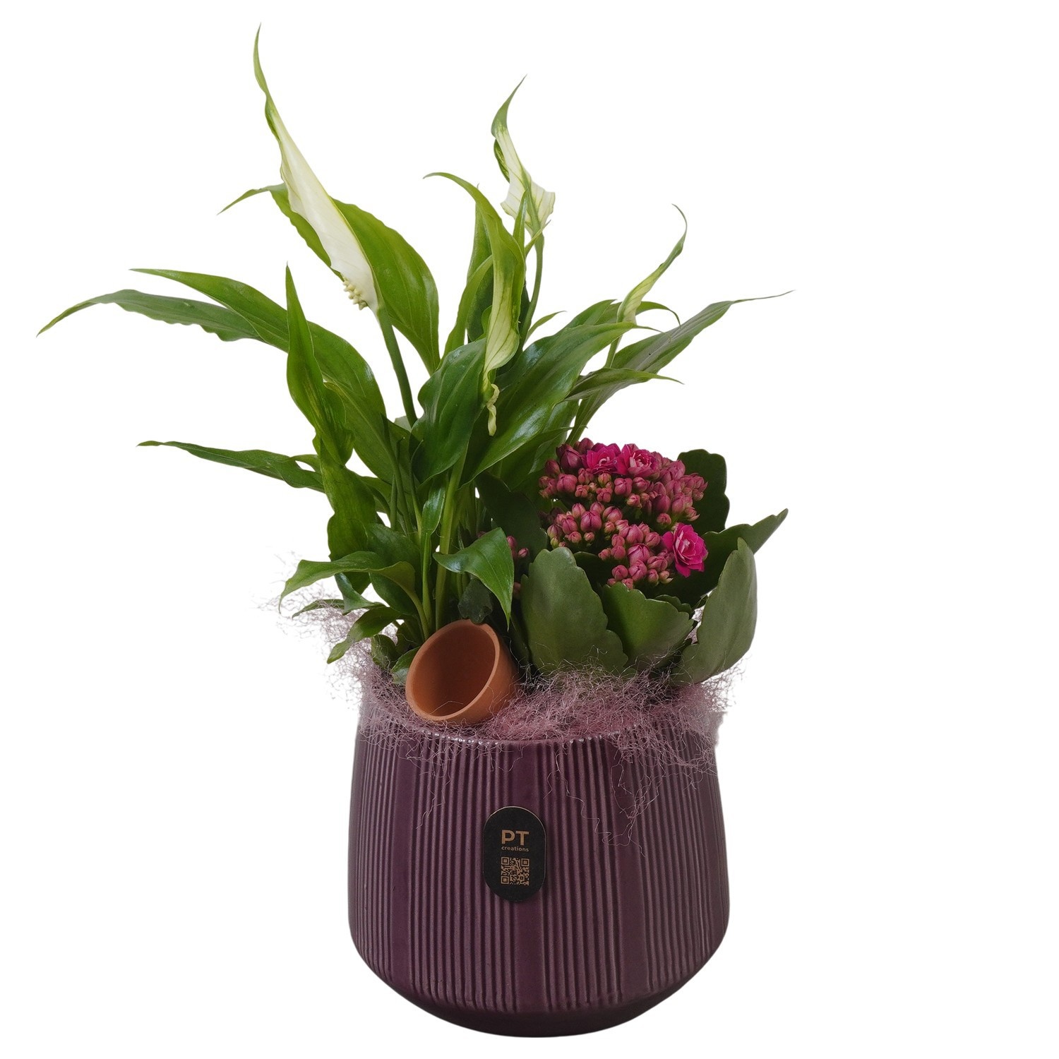 PTIB5167 Arrangement Indoor in keramiek pot, D 12