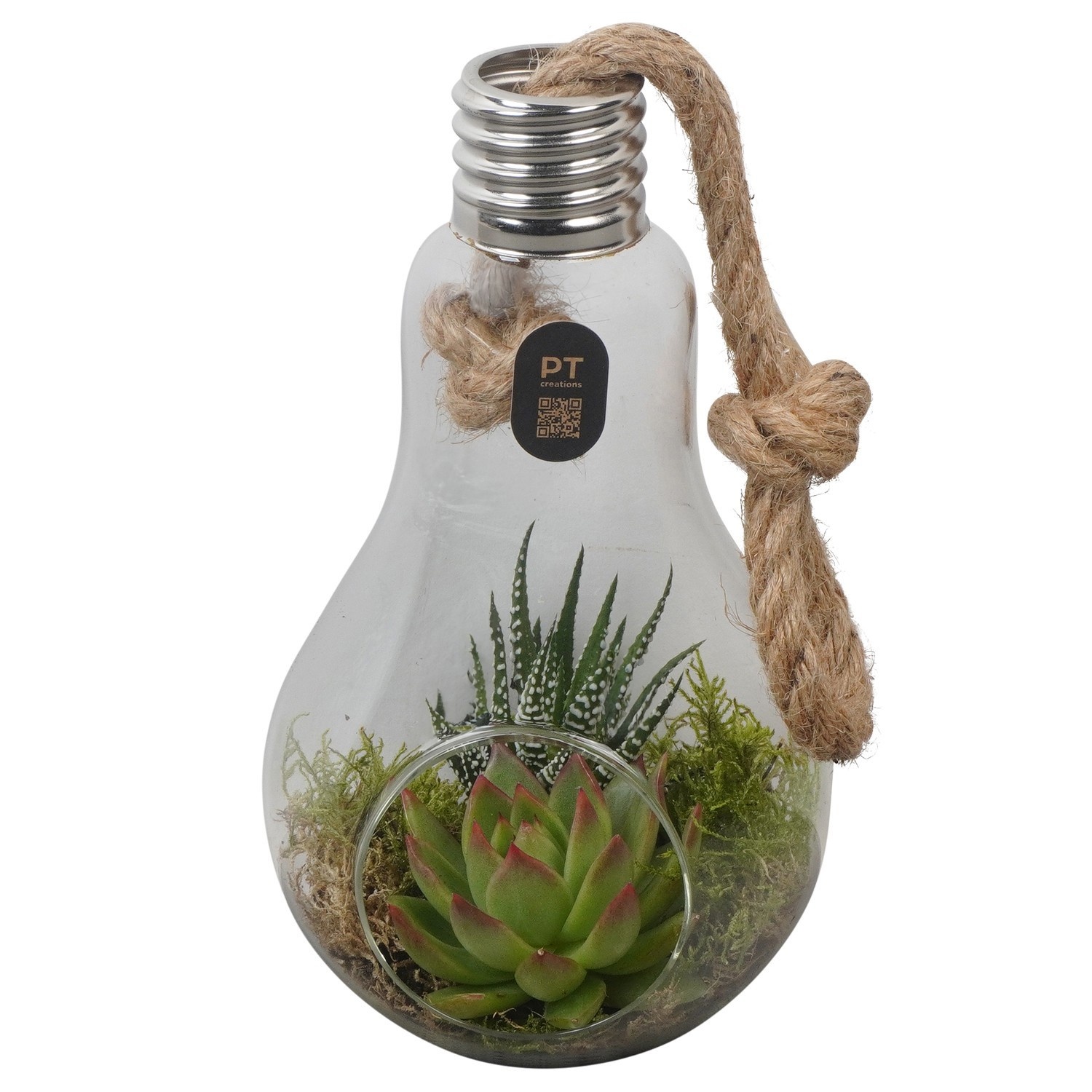 PTIG2709 Arrangement Indoor in glazen vaasje, D 12