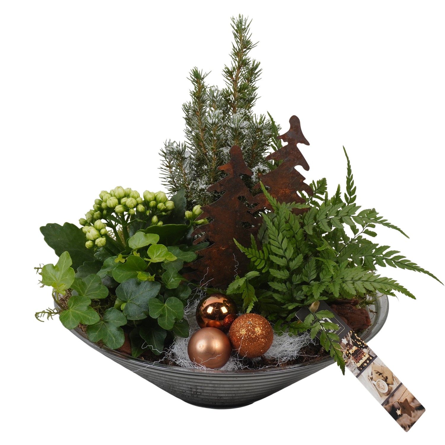 PTCHB9841 Arrangement Christmas Bronze in glas schaal, D 26 cm