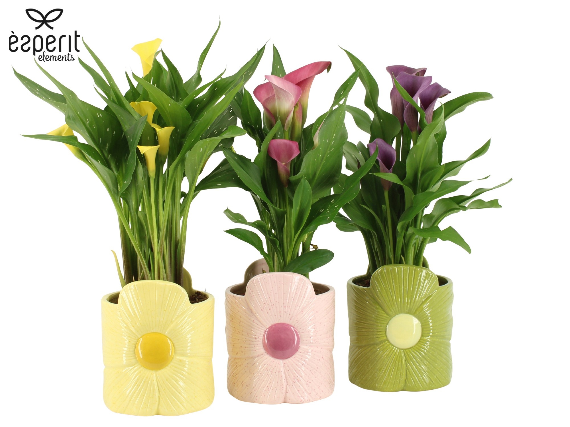 7503586: Solutionss Reinvention, D 12