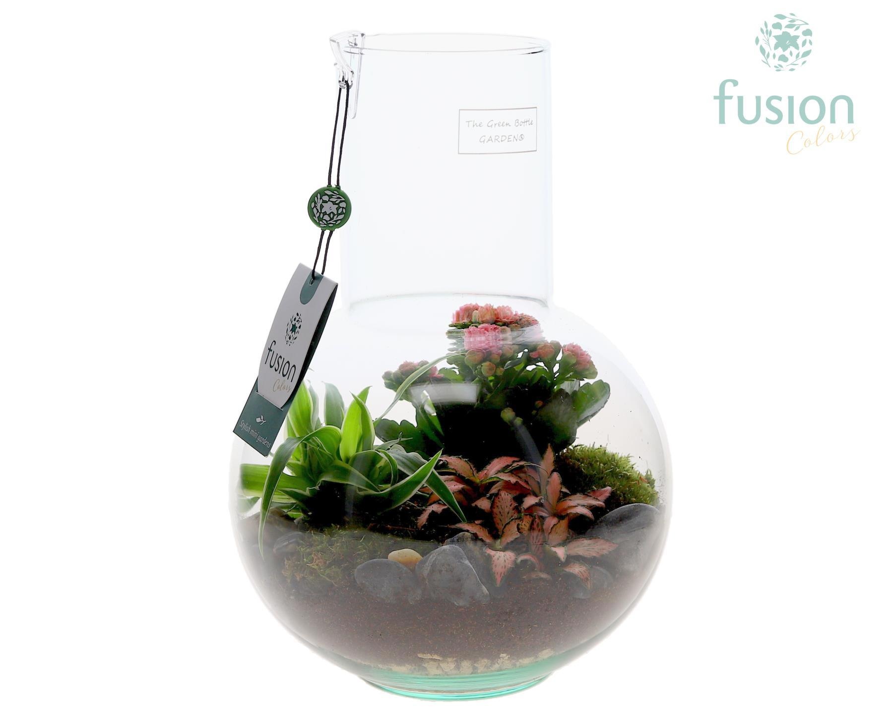 Green Bottle Suzanne Medium met arrangement, D 21