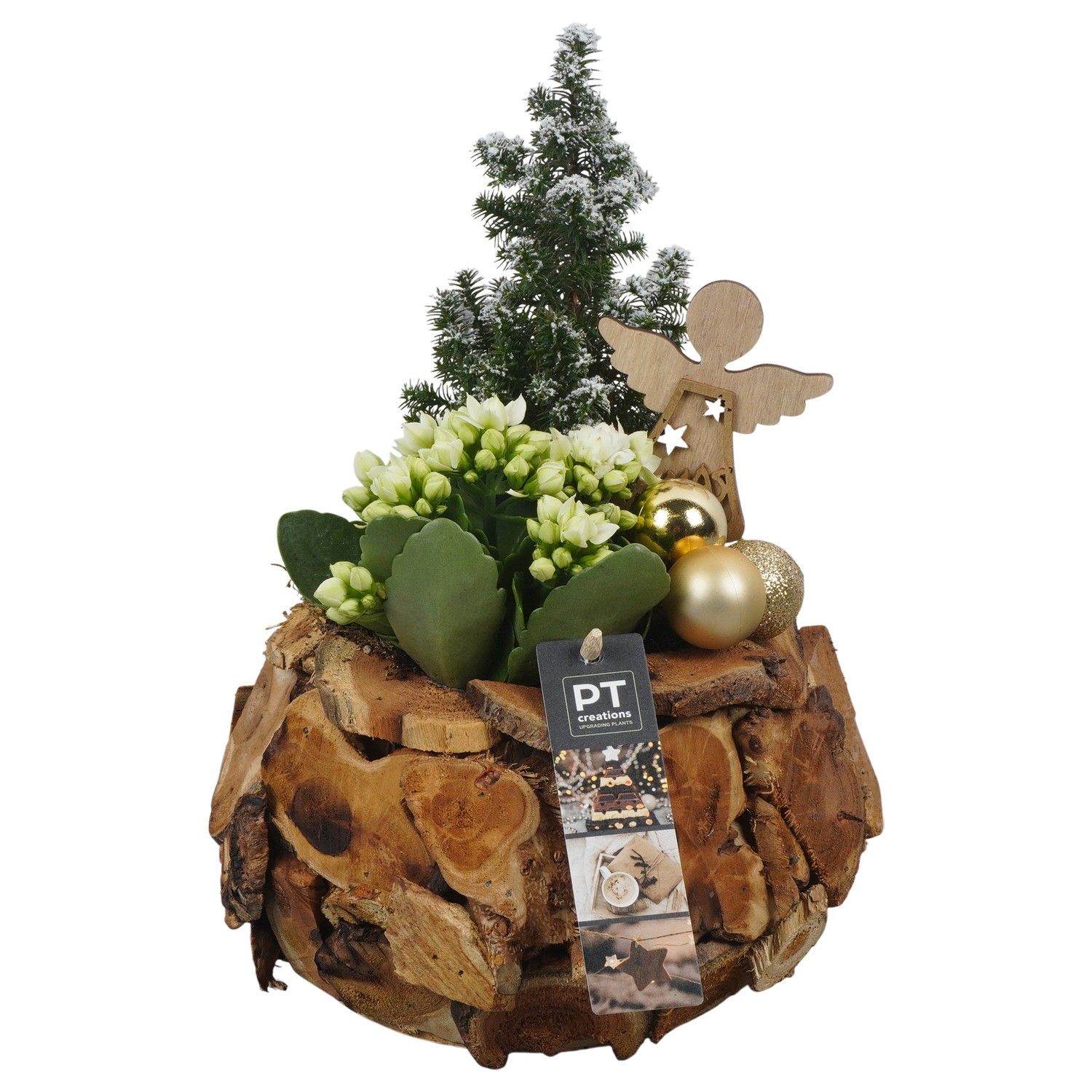 PTCHG5681 Arrangement Christmas Gold in houten pot, D 21 cm