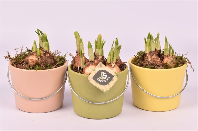 Keramiek Bamboo Matte 12cm Keramiek Citrus Matte 12cm Keramiek Rose Blossom Matt, D 12