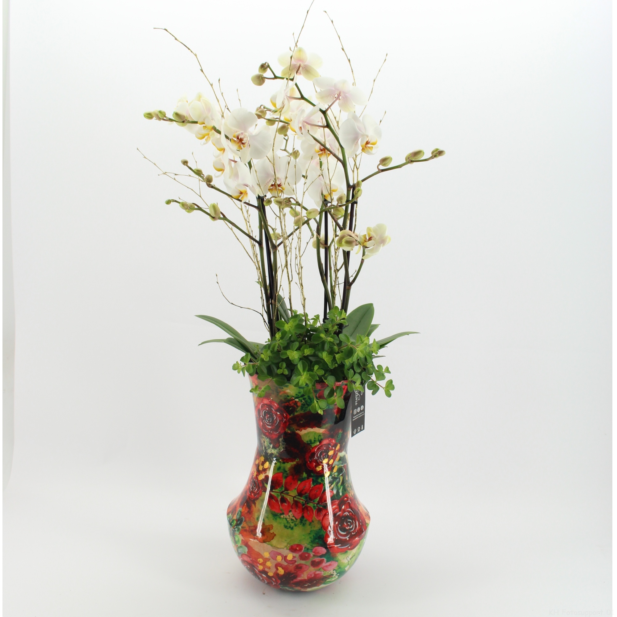 LICR-2524 Limited Phalaenopsis Xmas, D 27 cm LICR-2524 Limited Phalaenopsis Xmas, D 27 cm