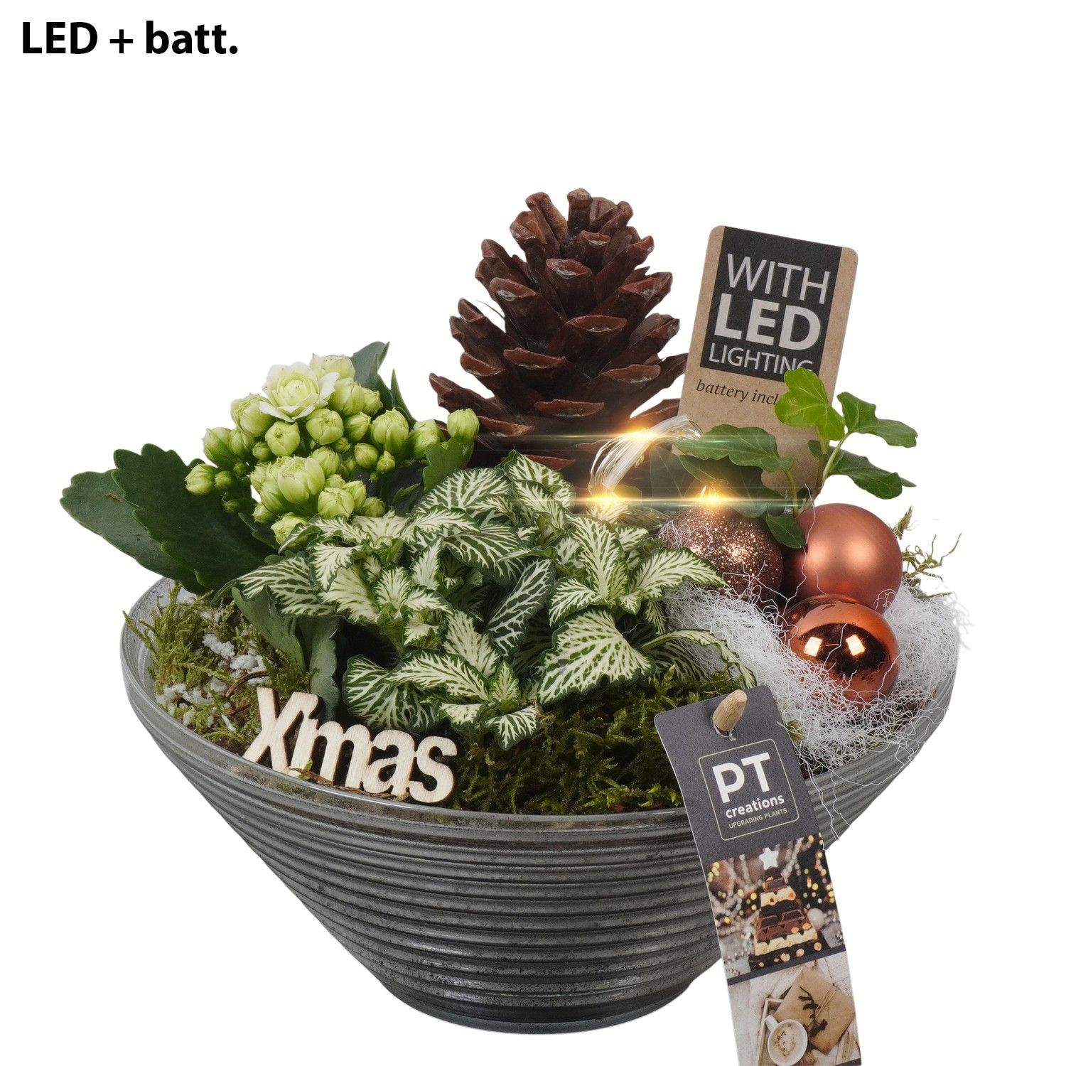 PTCHB9831 Arrangement Christmas Bronze in glas schaal, D 19 cm