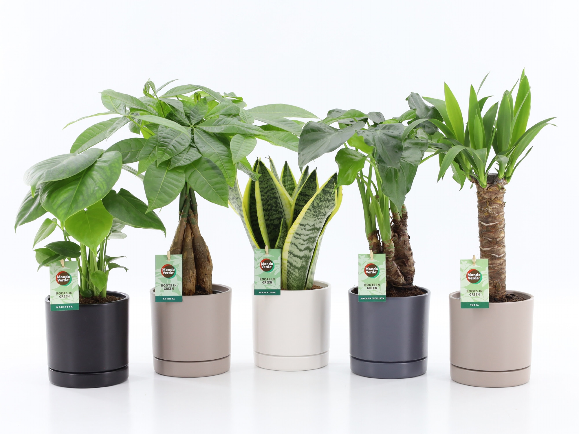 Tropic Mix in Hainan keramiek 4 kleuren, D 13