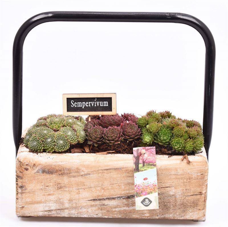 Hout rechthoek metaal hendel 26x12, D 27