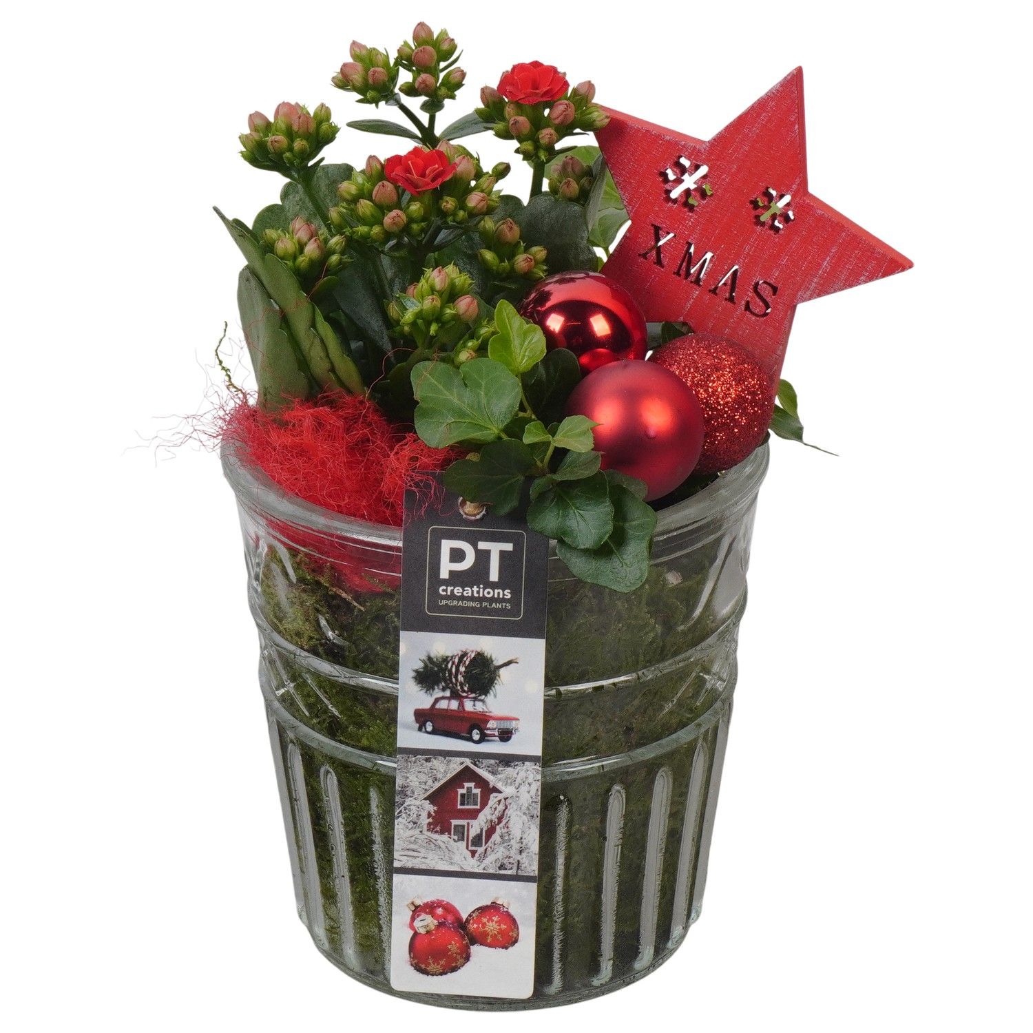 PTCHR7411 Arrangement Christmas Red in glazen pot, D 12 cm