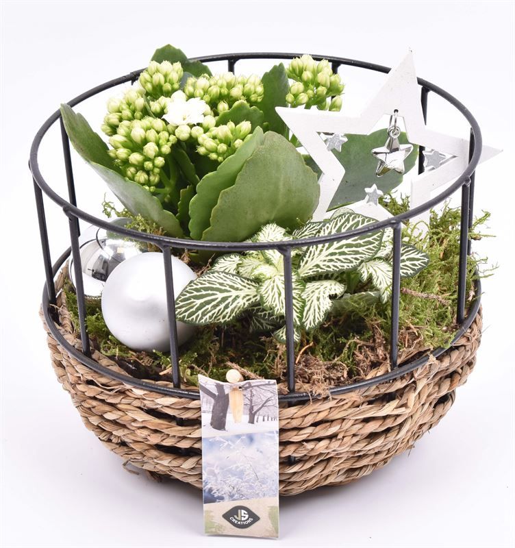 Gaasmand met touw 18cm, D 18 cm Gaasmand met touw 18cm, D 18 cm
