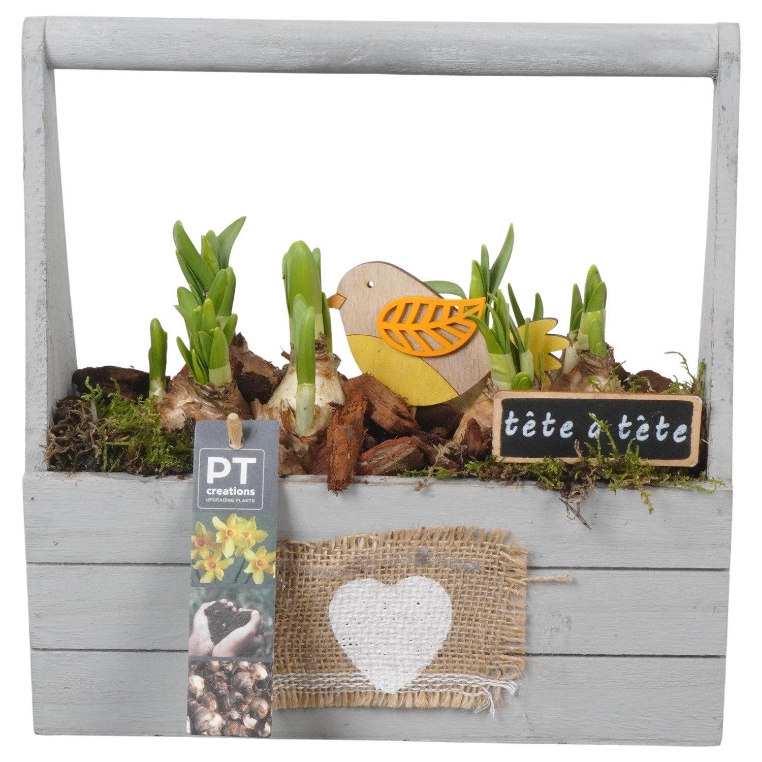 PTN8706 Arrangement Narcissus in houten bak, D 25