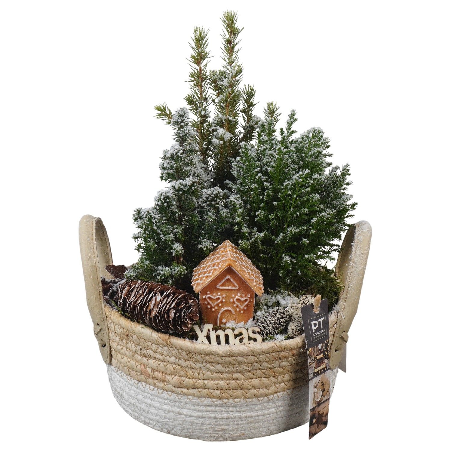 PTCWW6890 Arrangement Winter in rieten mand, D 21 cm