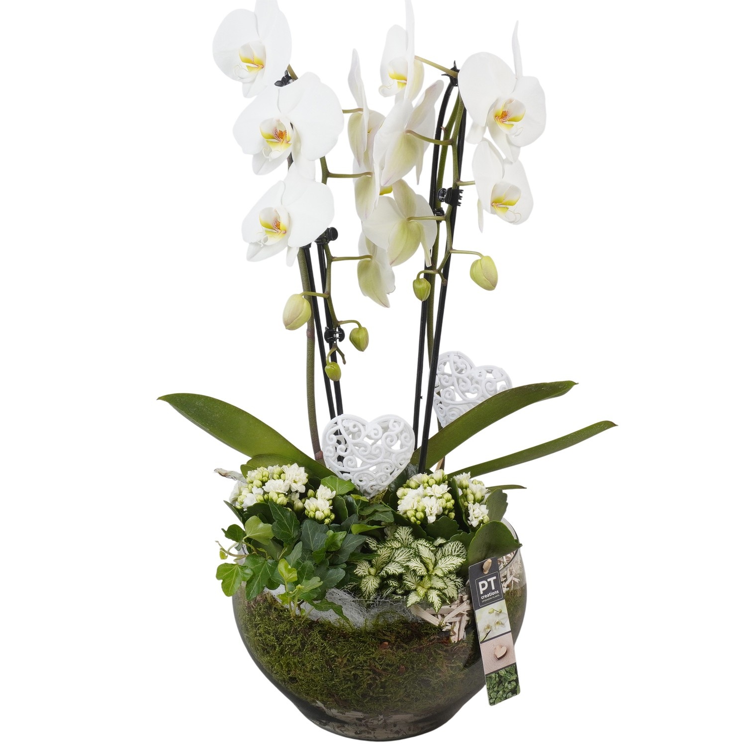 PTVMG4997 Arrangement Valentines-Mothersday in glas schaal, D 23