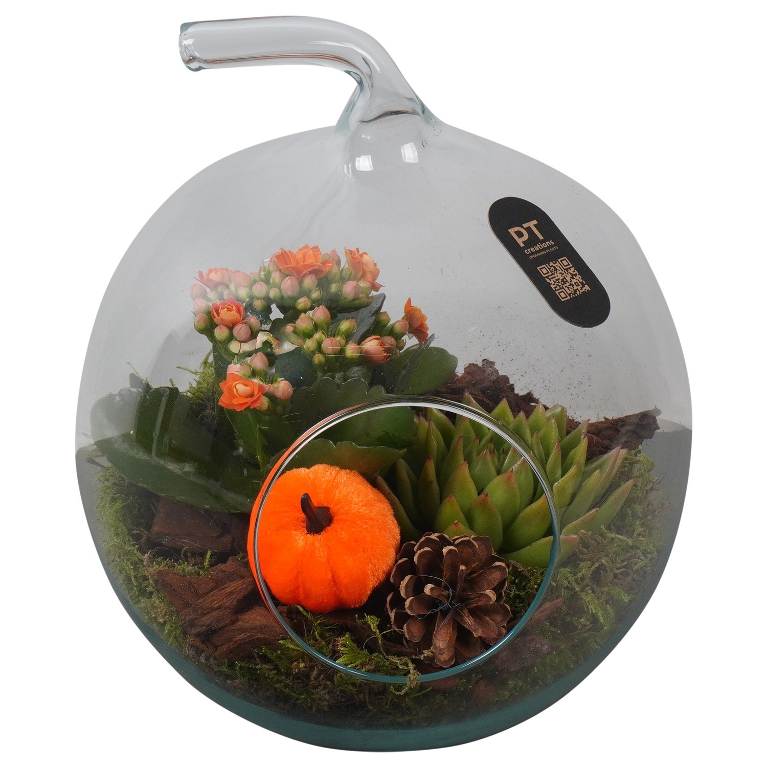 PTHG3412 Arrangement Autumn Glass in glas appel, D 19 cm PTHG3412 Arrangement Autumn Glass in glas appel, D 19 cm