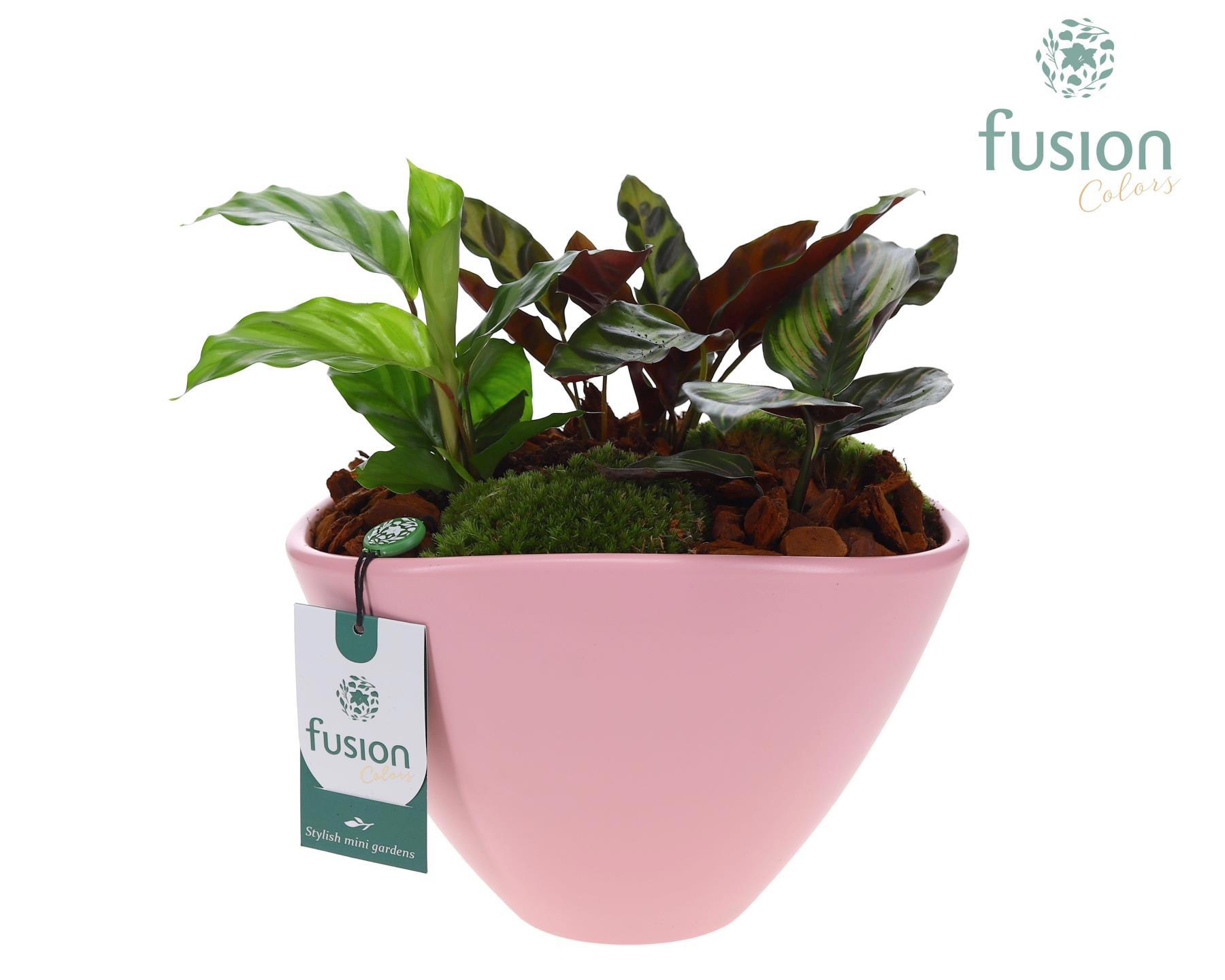 Pot keramiek ovaal Large met arrangement, D 23