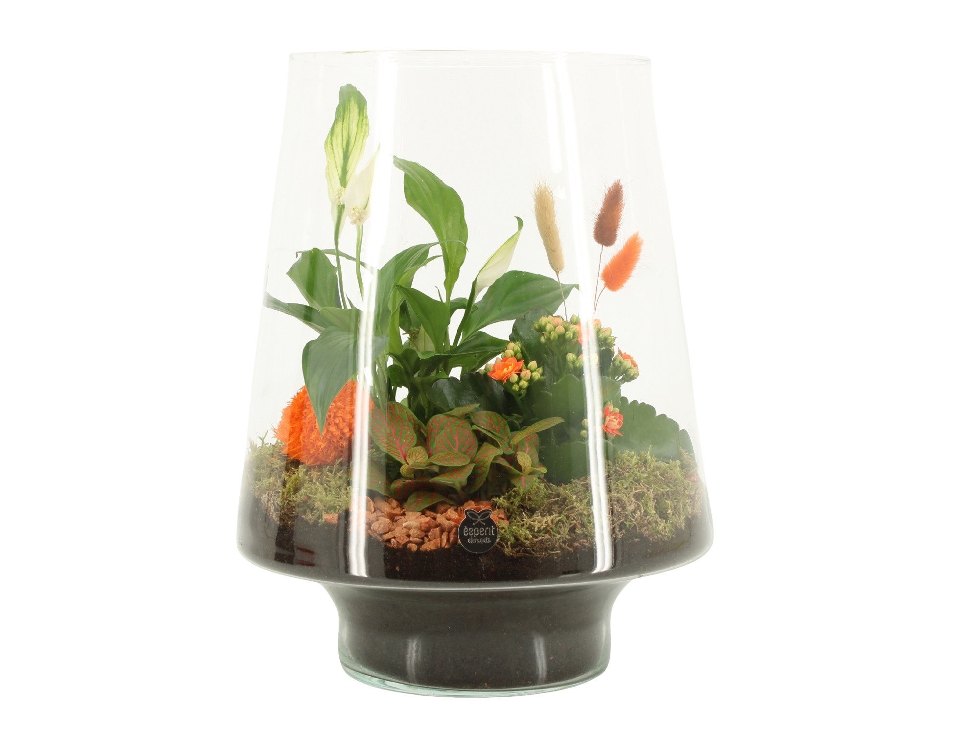 41682: Treasure time arrangement, D 25 cm 41682: Treasure time arrangement, D 25 cm