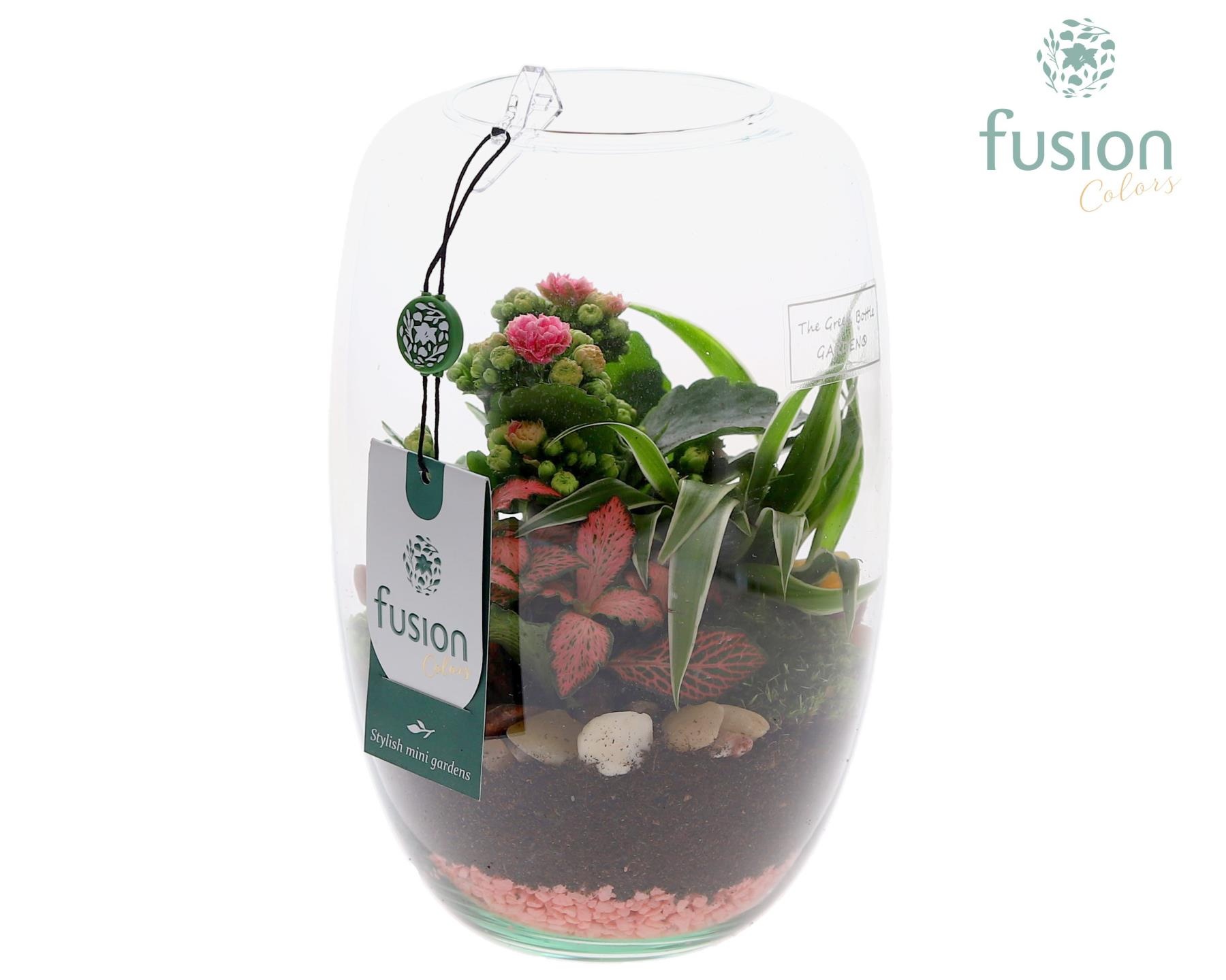 Green Bottle Isabella Small Love met arrangement, D 15