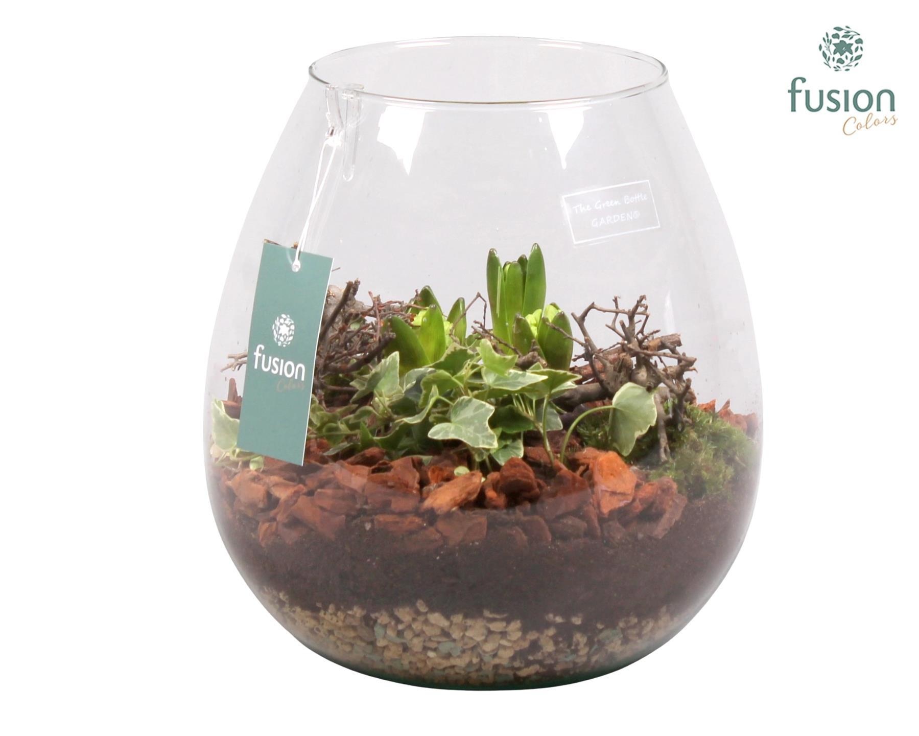 Green Bottle Abby Large met Hyacint Arrangement, D 24