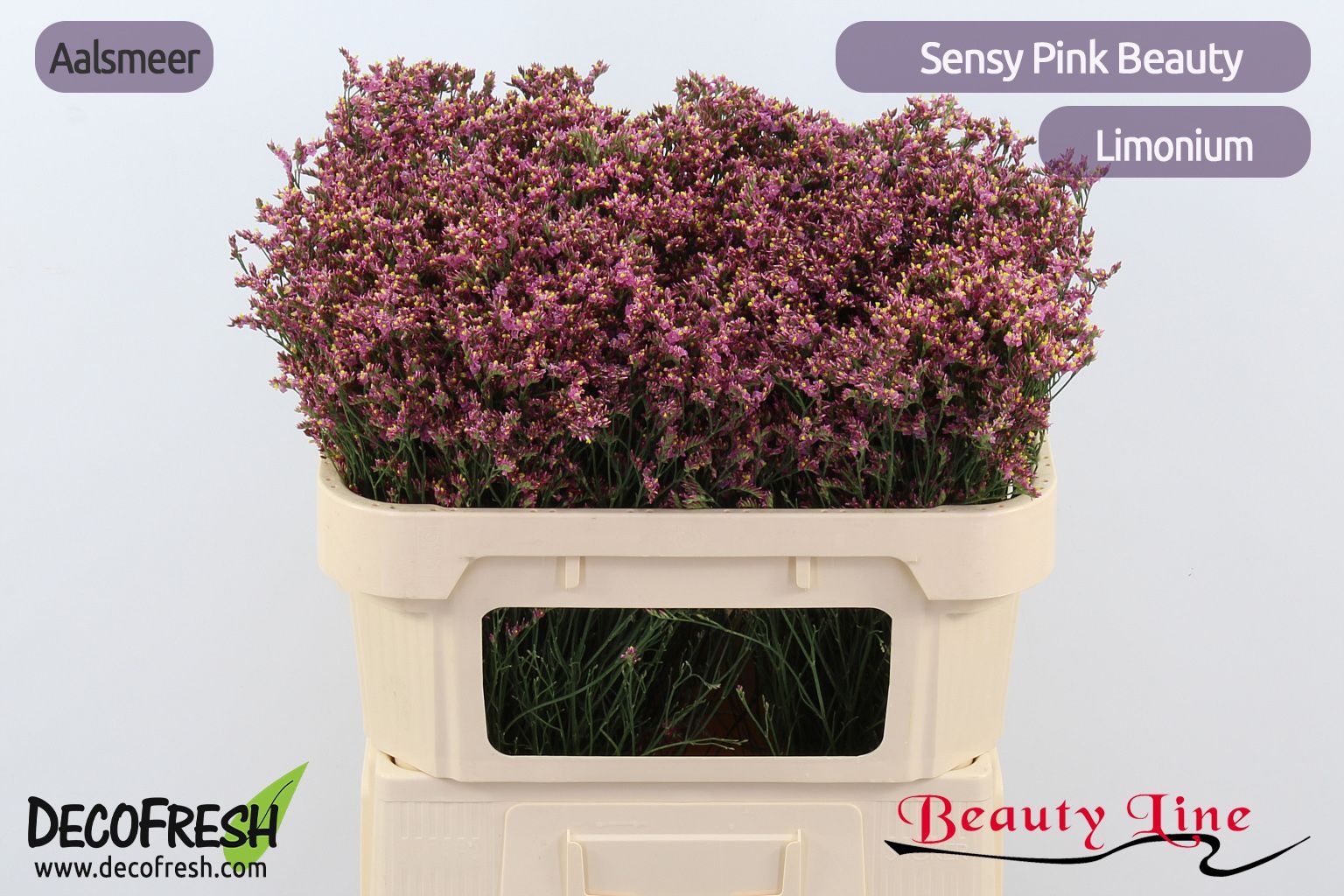 Лимониум Сенси Пинк Бьюти 70, шт.