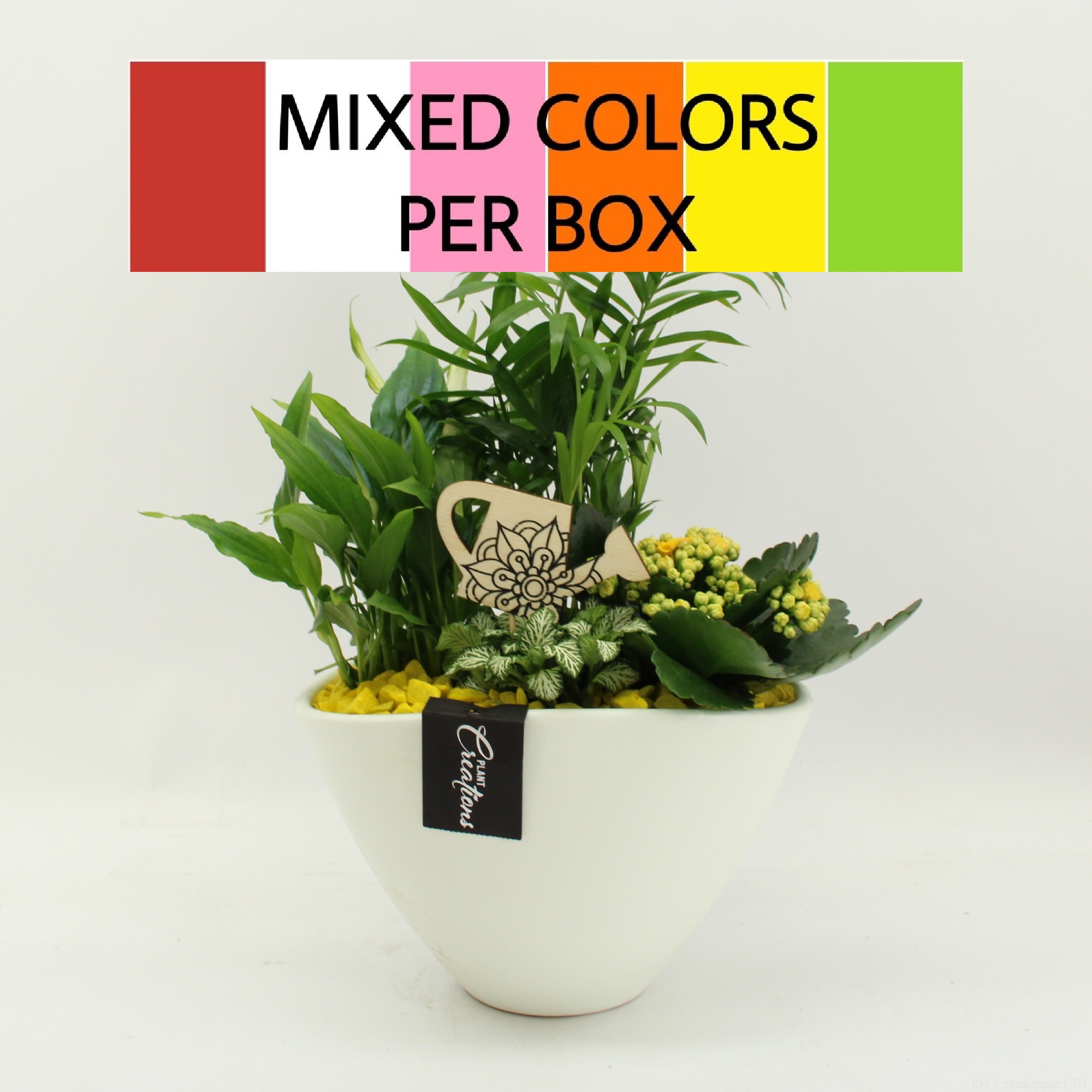 FDCR-2611M Basic Fundamentals, D 21