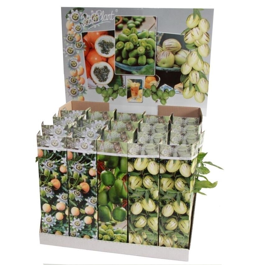 Exotic Fruit mix, D 9