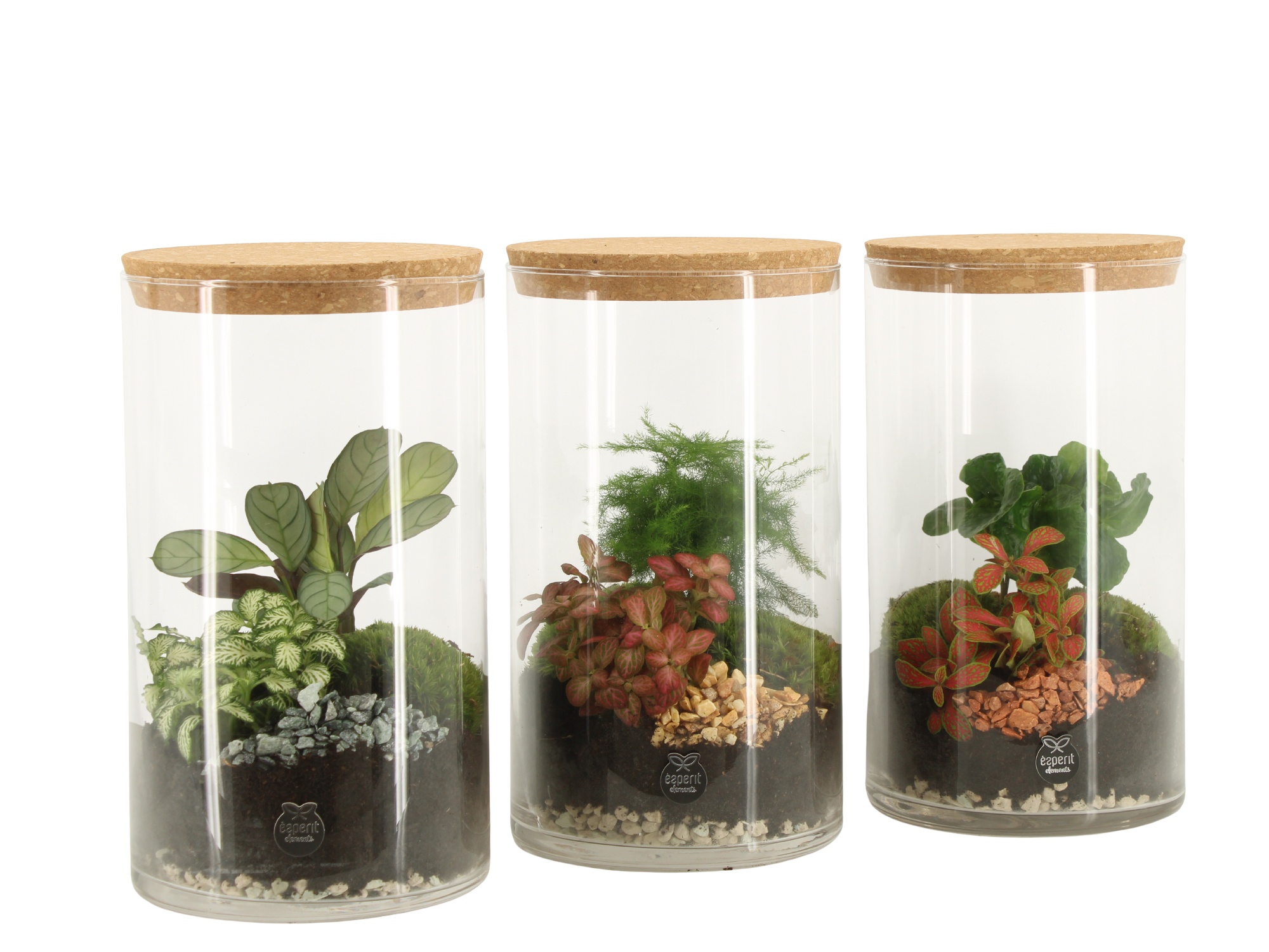 90838: Terrarium arrangement, D 14