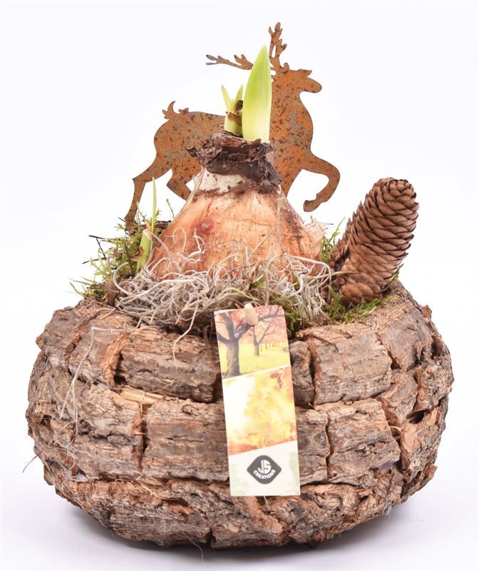 Bomschors rond 13x18cm, D 13 cm