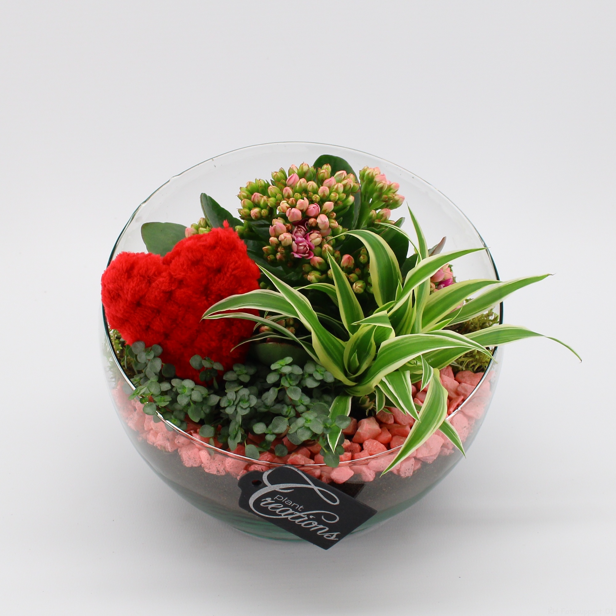 RMCR-2620RZ Romantic Essentials, D 18