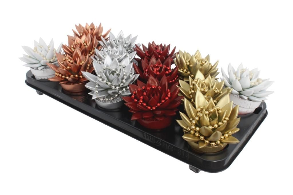 Miranda coloured Xmas + chain mix, D 8,5