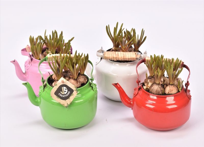 Zink thee pot in 4 kleuren mix, D 12 cm