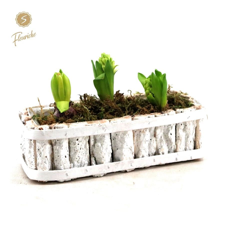 (DN502) Hyacint White Bark Box [M], D 16 cm