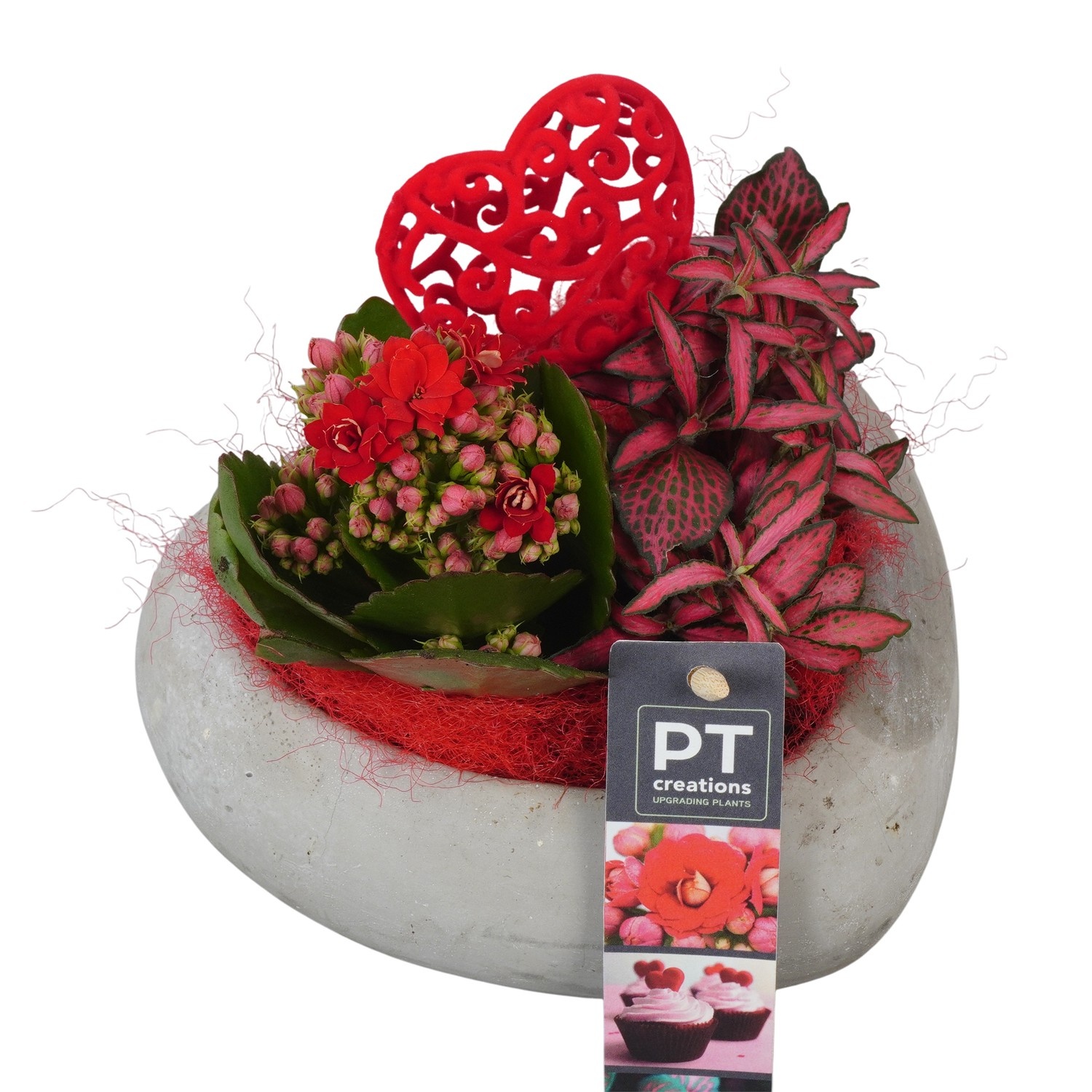 PTVMB2278 Arrangement Valentines-Mothersday in beton hart, D 16