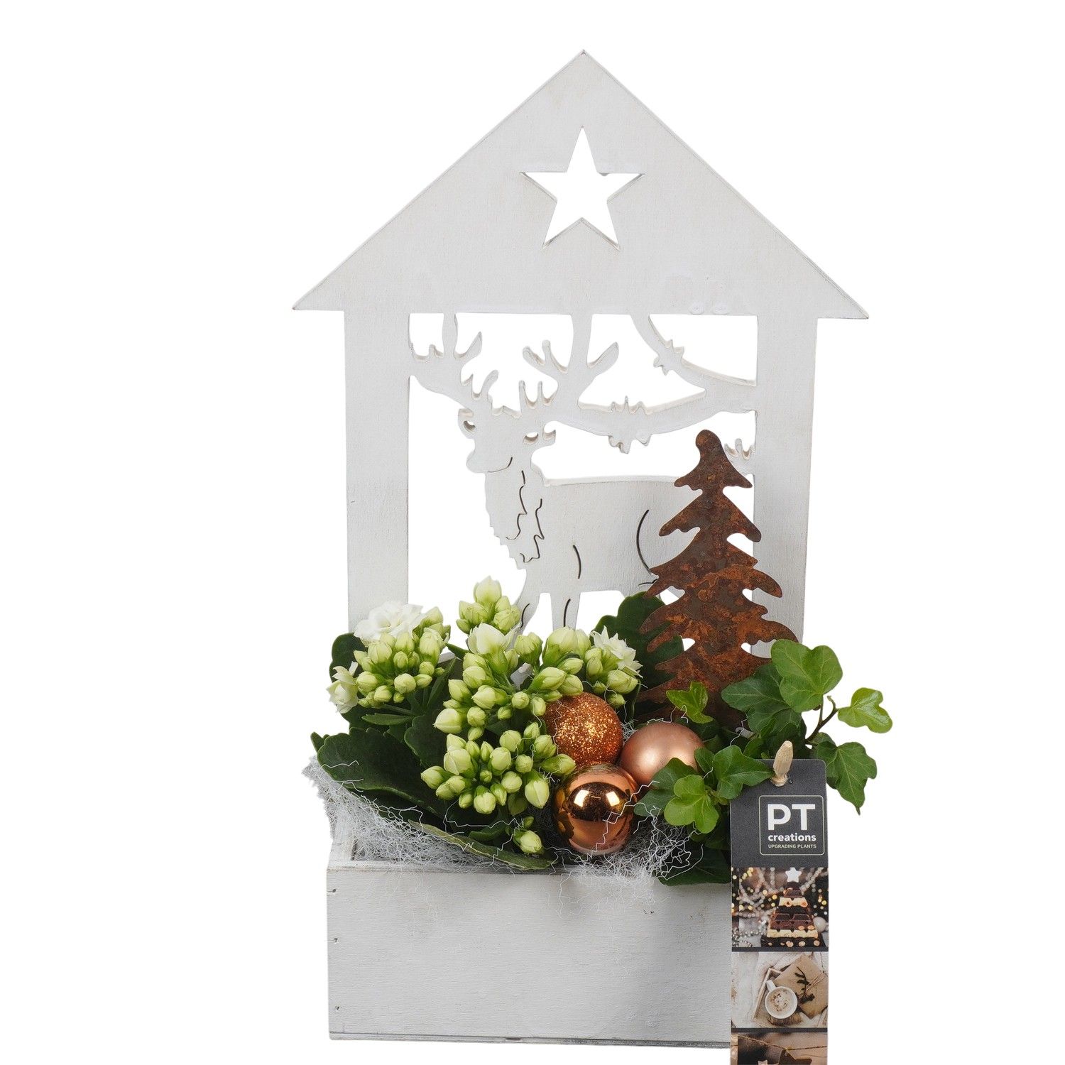 PTCHB9818 Arrangement Christmas Bronze in houten bak, D 16 cm