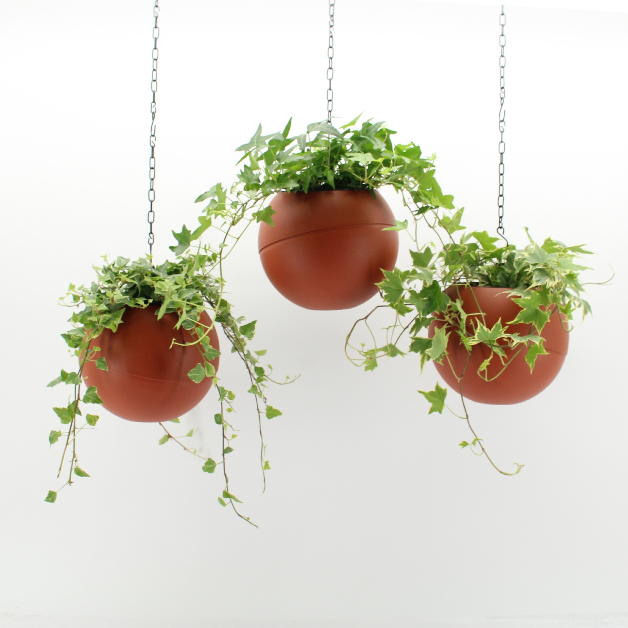 Globee Indoor Hedera mix 127, D 20