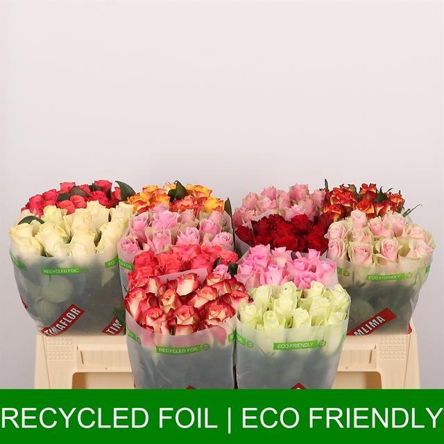 Роза од. Микс в баке 40, шт.