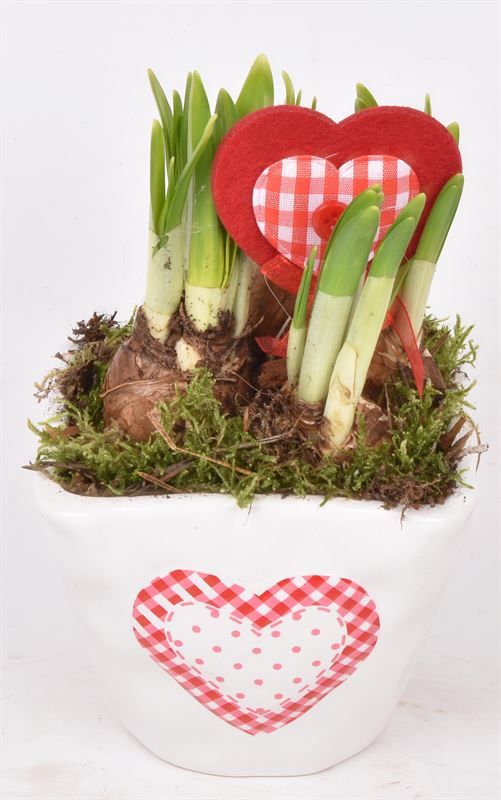 Keramiek met hart 10x10, D 10