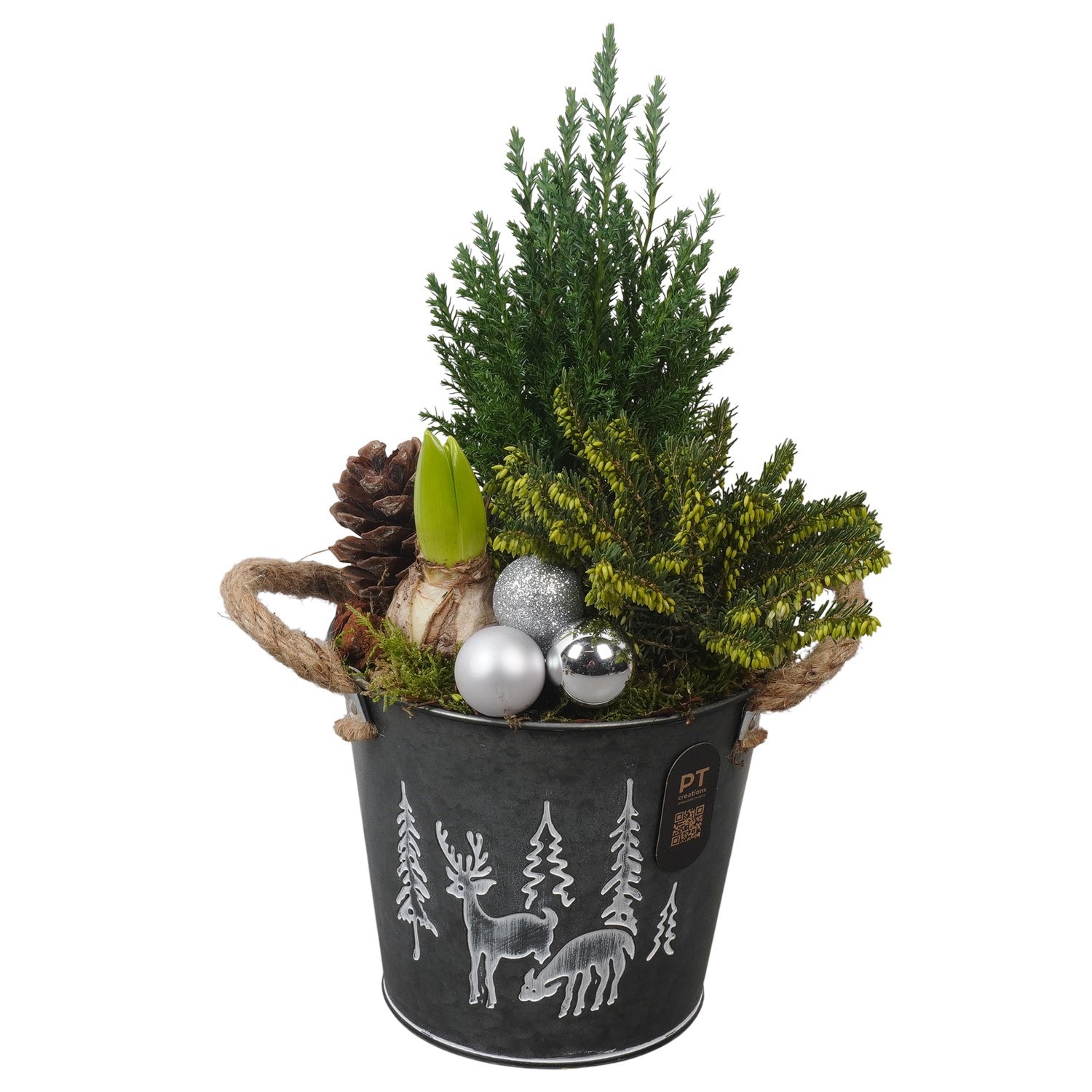 PTCHO5501 Arrangement Christmas Outdoor in metalen pot, D 16