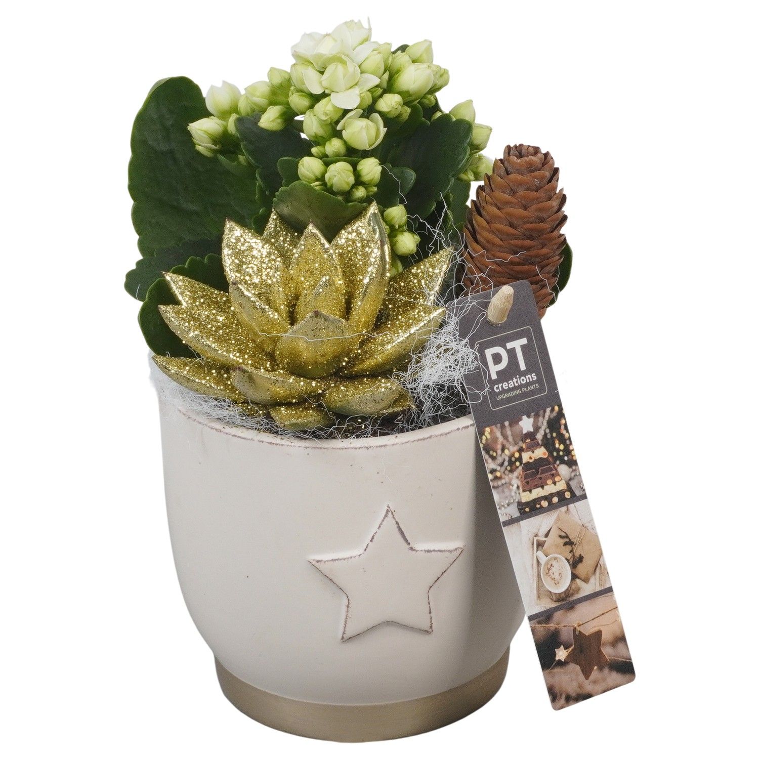 PTCHG5633 Arrangement Christmas Gold in keramiek pot, D 11 cm