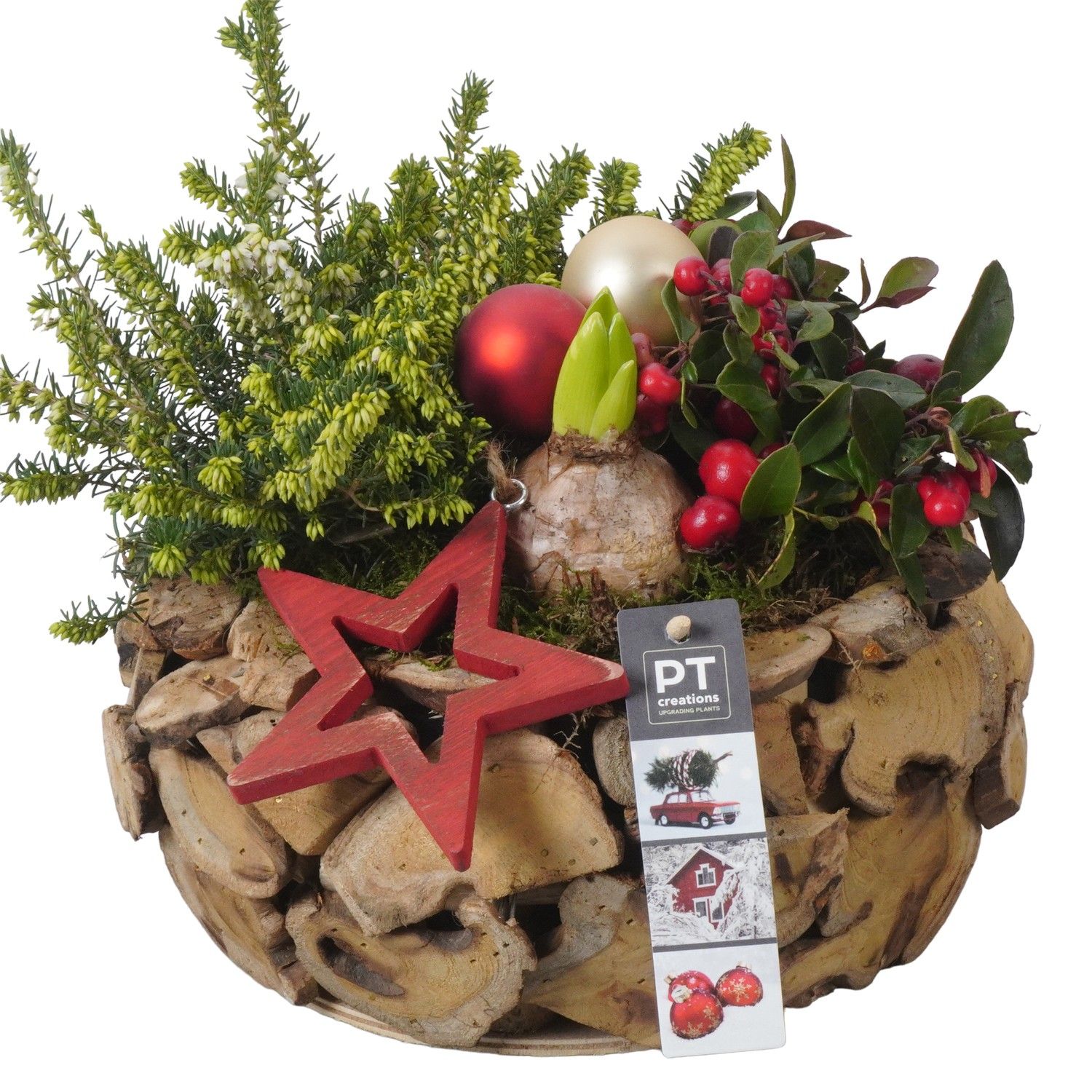 PTWO1905 Arrangement Winter Outdoor in houten bak, D 26 cm PTWO1905 Arrangement Winter Outdoor in houten bak, D 26 cm