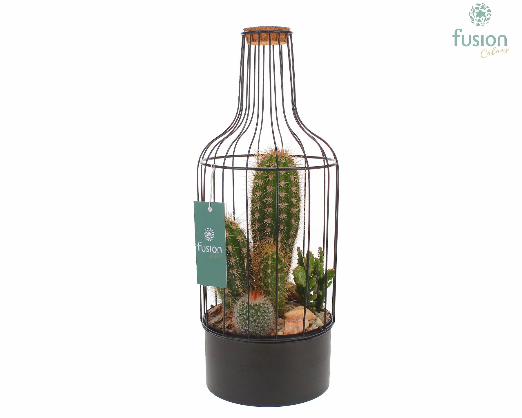 Metaal fles zwart Medium met Cactussen, D 15